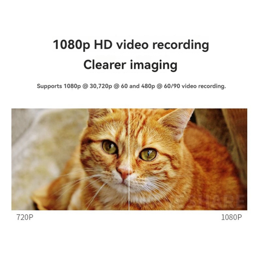 BNVN-Camera Module For Raspber - Raspberry Pi Zero のレビューと価格